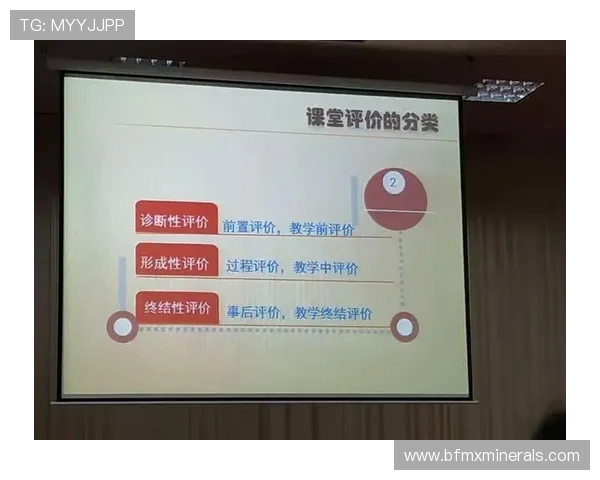 成都羽毛球队在锦标赛中的技术表现分析与点评