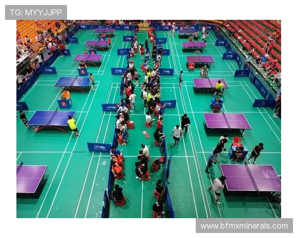 武汉乒乓球队的运营揭秘与深度分析探讨乒乓球运动的未来发展 武汉乒乓球队的运营揭秘与深度分析探讨乒乓球运动的未来发展