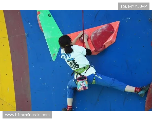 深入分析杭州攀岩队包夹战术的优势与应用技巧 深入分析杭州攀岩队包夹战术的优势与应用技巧