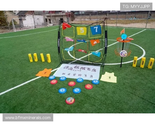 武汉飞盘队的灵活性探秘与战术分析让我们一起感受飞盘的魅力与激情 武汉飞盘队的灵活性探秘与战术分析让我们一起感受飞盘的魅力与激情