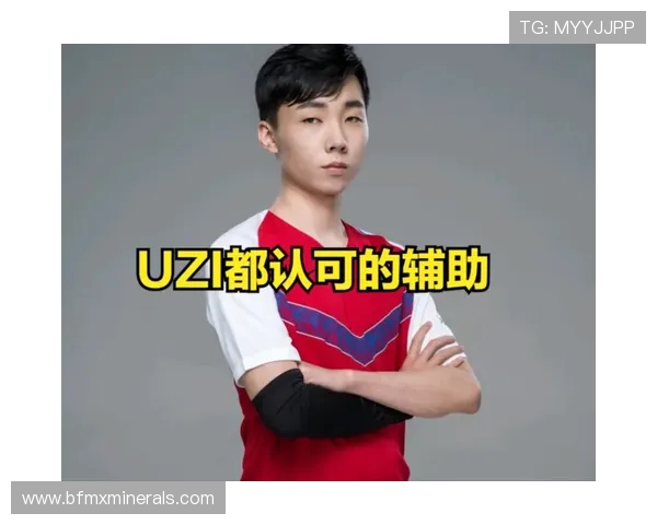 热议王者荣耀LNG战队如何引领游戏力量的全新变革与未来发展 热议王者荣耀LNG战队如何引领游戏力量的全新变革与未来发展