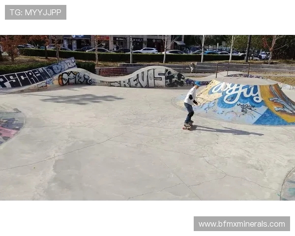 王丽独家揭秘滑板技巧与心得分享助你轻松上手滑板运动 王丽独家揭秘滑板技巧与心得分享助你轻松上手滑板运动