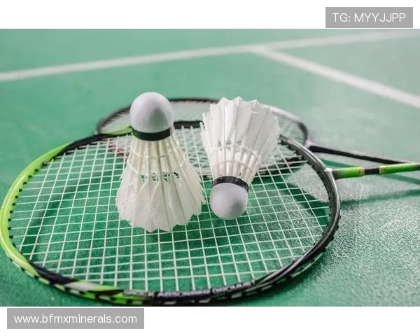 羽毛球爱好者必看护腕选购指南与推荐品牌解析