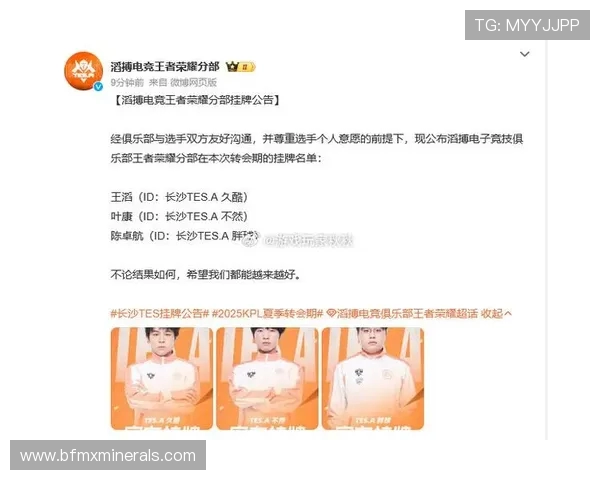 聚焦王者荣耀：TES战队技术解析与战术创新探讨