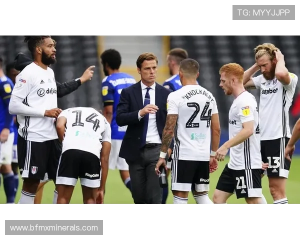 卡迪夫城与纽卡斯尔联的激烈对决谁能笑到最后