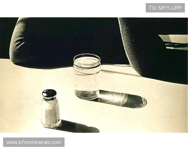 探索吉布森的艺术世界与文化影响力的深度解析与思考