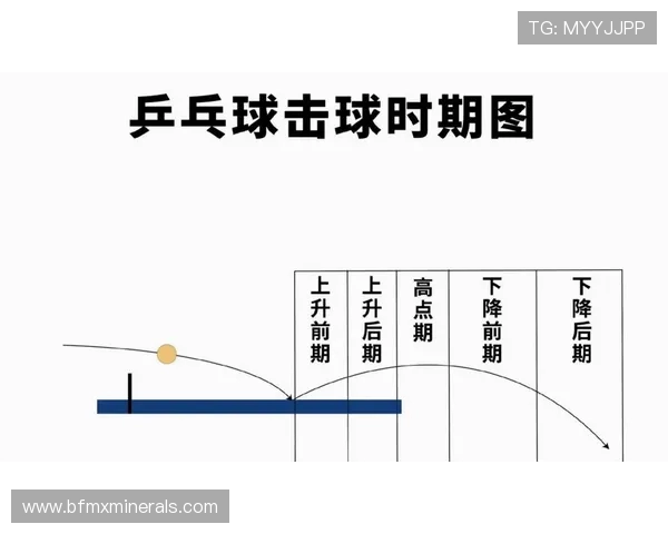 成都乒乓球队转换打法解析与战术创新的深度剖析