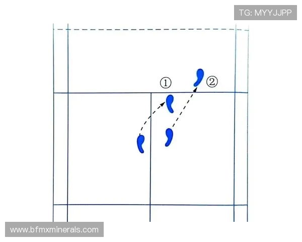 成都羽毛球队引领最新羽毛球战术TOP10解析与应用技巧分享