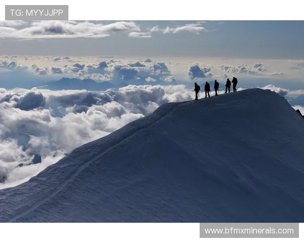 杭州极限运动队意识对比深度剖析与团队文化影响探讨
